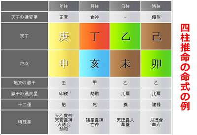 年柱 月柱 日柱|四柱推命の十二運とは？年柱・月柱・時柱とあわせて。